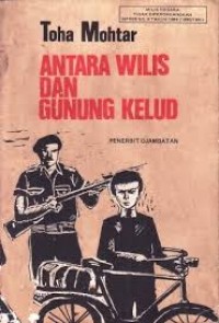 Antara Wilis Dan Gunung Kelud