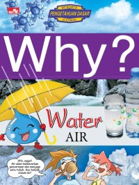 Why Air